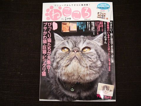 猫式ブログ～里親募集型猫カフェ