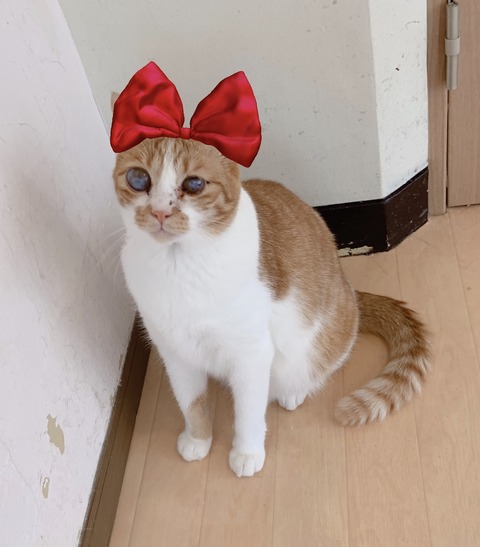 EE1BD9CE-BBE5-44D0-94B5-B581E801E674