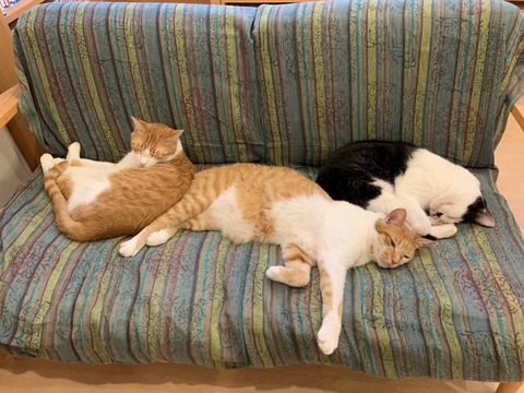 02A5961C-81BB-4D56-B426-6E9E24333118