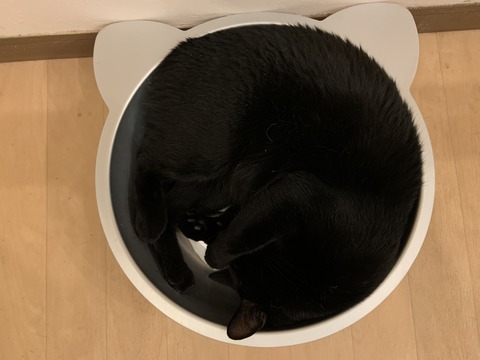 8A8284EA-A408-468E-BD3E-FC41BA1F8913