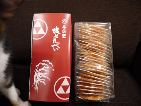 猫式ブログ~里親募集型猫カフェ