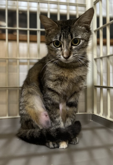 31984866-3F10-4733-99B6-8DCF7B905B57