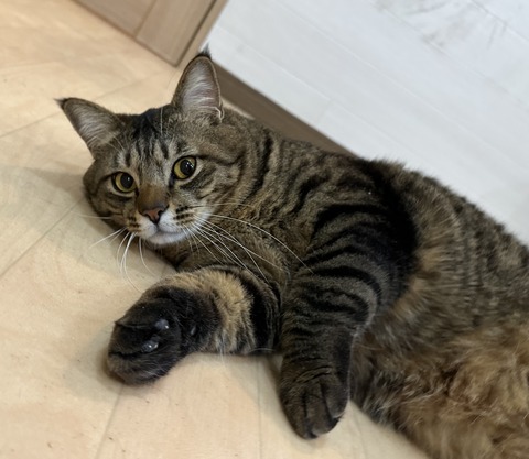 6FD83DAF-46C5-4371-B31A-CA4FB663CE7F