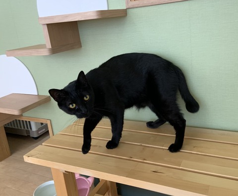 2E9A1ABB-69F1-4732-9976-D050A6285D85