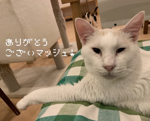 62EF969B-8029-4390-8317-CA389F12840C