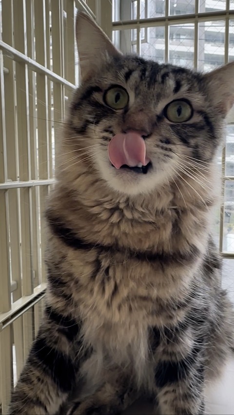 15A22139-828F-415F-836A-CFE71F89E681