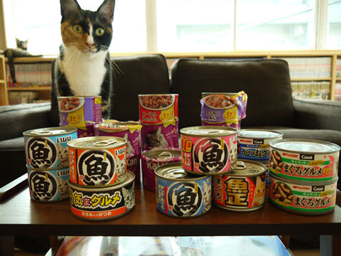 猫式ブログ~里親募集型猫カフェ