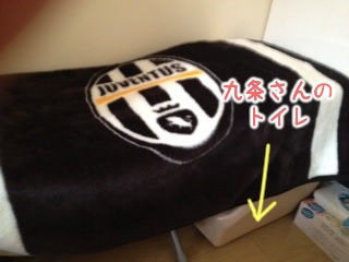 猫式ブログ~里親募集型猫カフェ