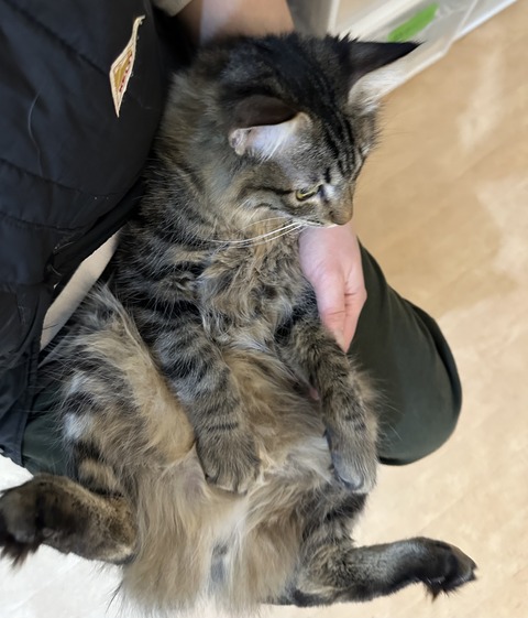 588B429C-2DD0-453F-AE07-57E0F8BDE20C