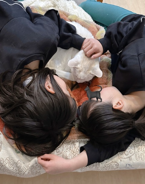 8C2172FB-F6B3-4FF3-82E3-26C4F70AD2F9