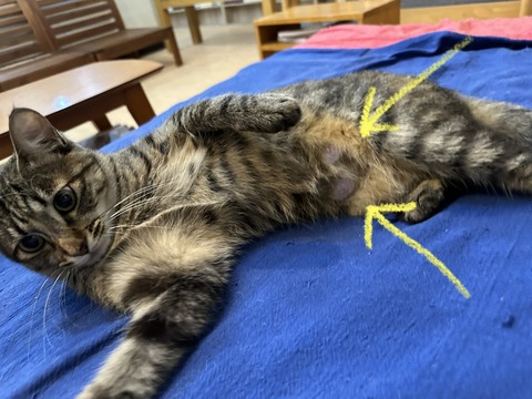 7226CB12-57A0-45D2-9D81-2FCDB67355ED