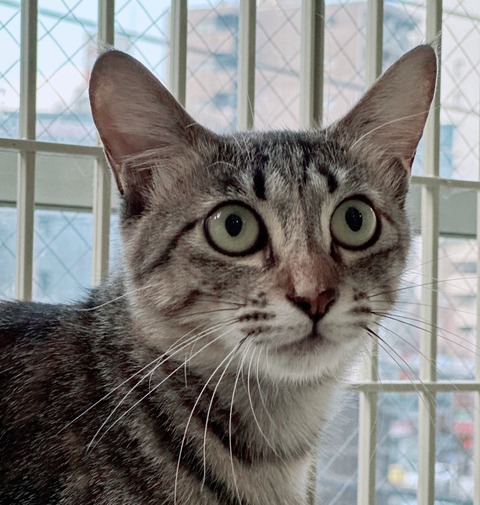 3D2A13A3-52CB-4DC5-8819-18CB01EF5F1F