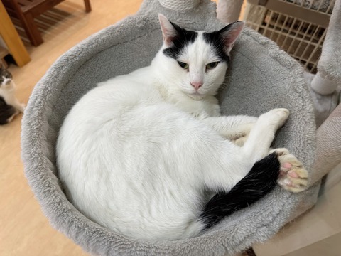 37D0F58D-8E57-4AB6-BBCE-AADB85CA352B