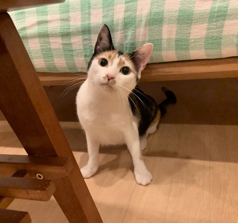 8C9996D9-8CC4-4E2E-B65F-AF5BA0432645