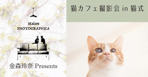 rectangle_large_type_2_2eabd31bd2633379fe61dda33ac0284e