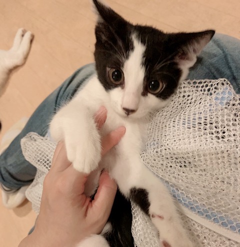 F3FA3775-2852-4FBA-A171-A22C6CFAA7C6