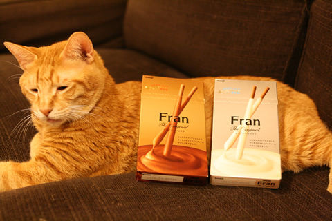 猫式ブログ～里親募集型猫カフェ