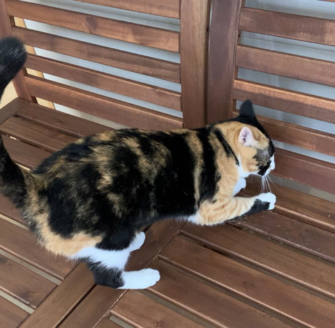 17367B0C-E1F7-4C77-A6EC-ECE327D7A5F7