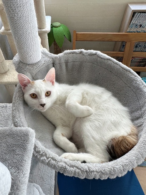 610AAB85-0293-419D-8826-B8786DB6A4E0