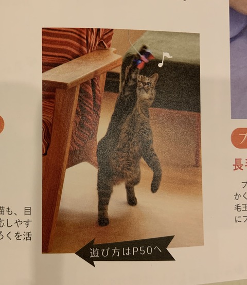 DEE77EA8-16F0-4CD4-A66C-AEADC2173B6C