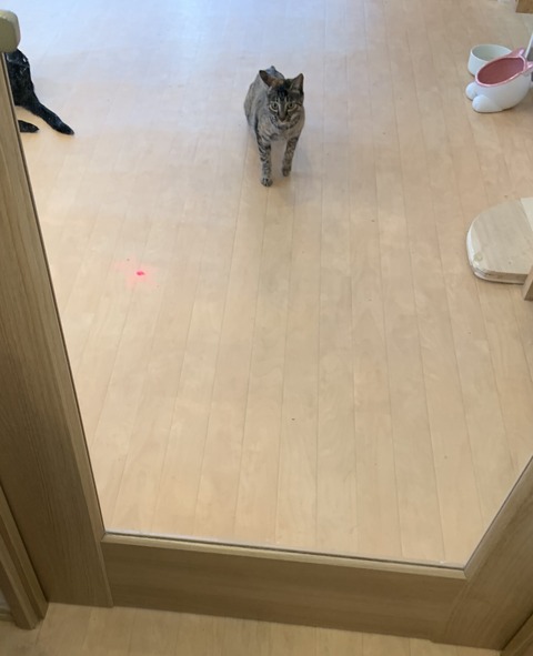 A501DCB5-7FFC-4BE5-832B-652297233C34