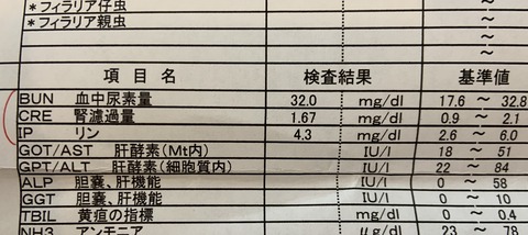 335B95D7-C321-466C-8DE8-CA33DCA7AE8F