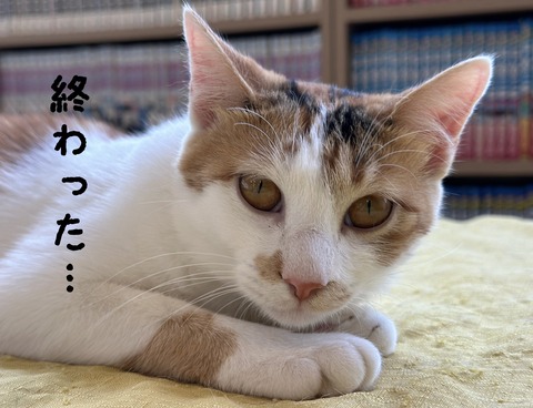 B805BE8F-C6B4-449C-8D04-AD13FD5577AD