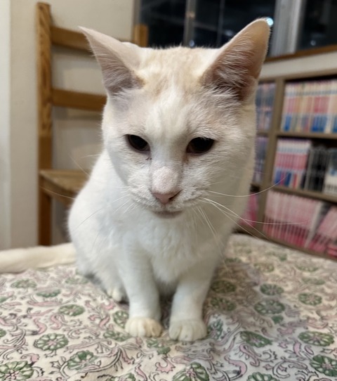 2AEF7867-D599-4E5A-8D07-9A62F2DB30B3