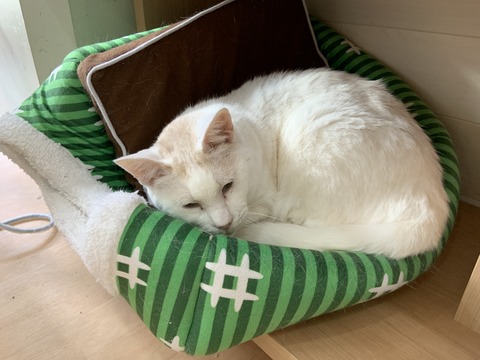 03B52850-D473-48F1-9388-7CE7D49D6917