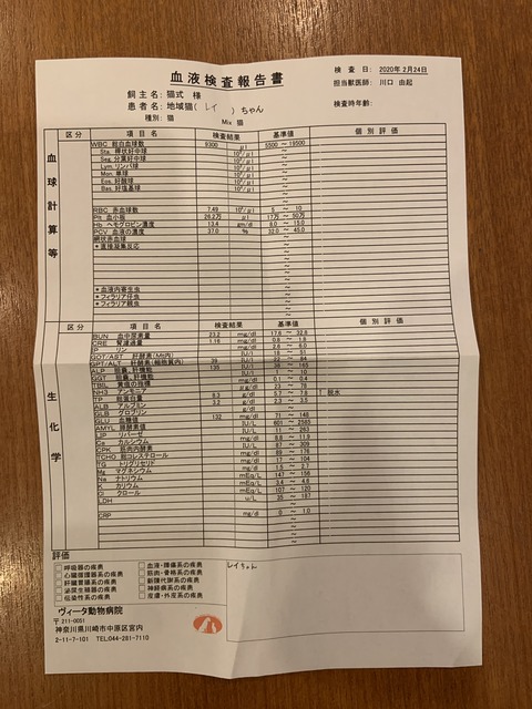 EE435312-9A9F-4A2E-8AD6-78FC31DEB060