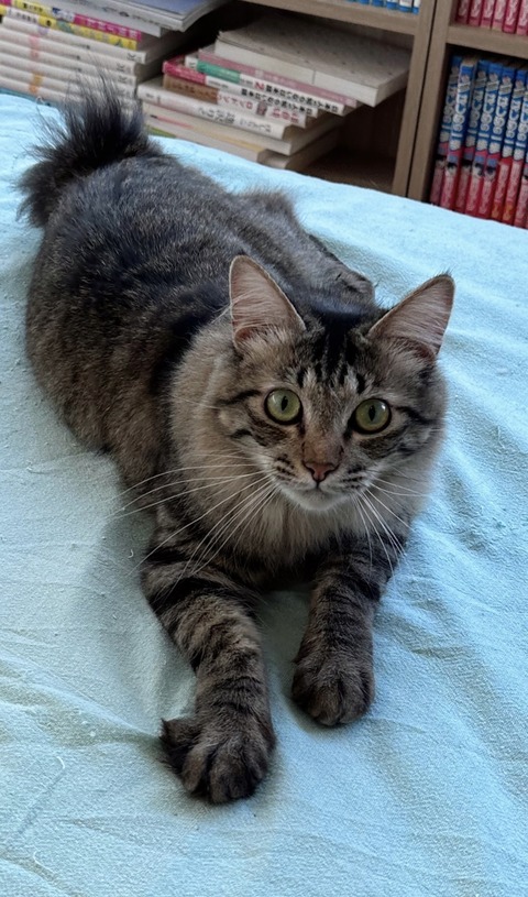 A01D31EA-FE79-4802-A31C-060354A9C82D