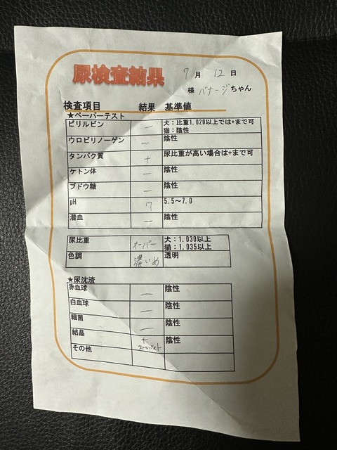36C37EAA-67E2-4017-B3C9-683845159685