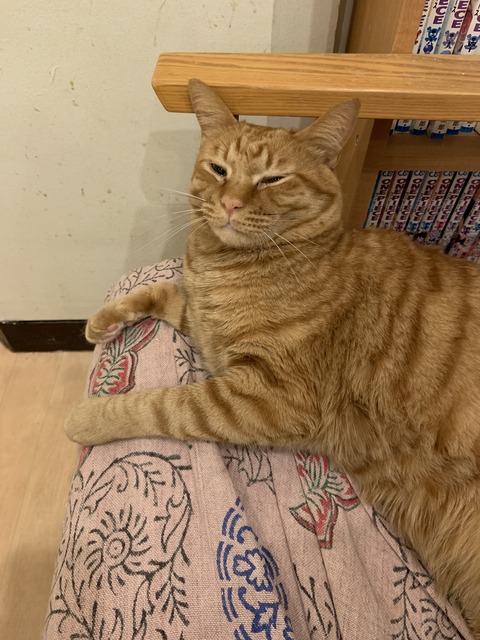 D9B2CEF6-33FF-475B-9FC9-35EF8118A001