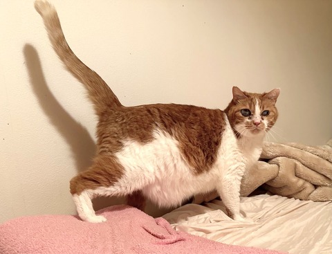 A544FC4E-7E1F-4BAC-86B5-1632872E0052