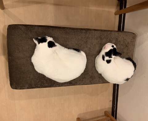 FFBE8C41-EAD6-4894-9F67-E7088BDB1C48