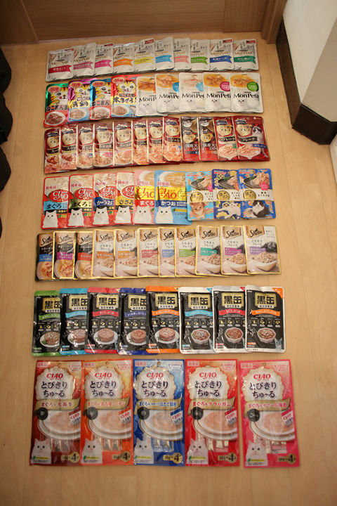 0823_ぐーちゃん