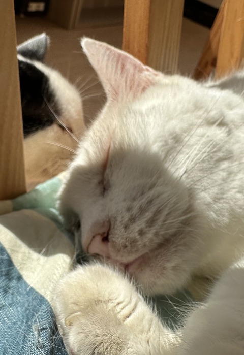 78F49FF4-1DC1-4E97-8FA0-10FFADAB5EBC