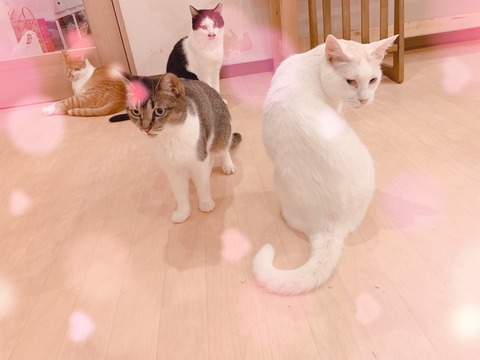 D8F8725A-8DF8-4359-8F39-2D8F87948651