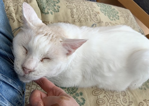 976671A7-33EF-4ABA-AE89-88117B4D61F8