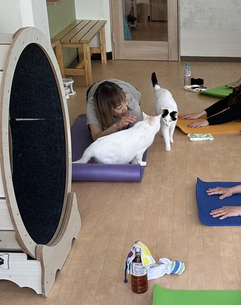 EF294077-722D-486F-9FB4-71745A338055