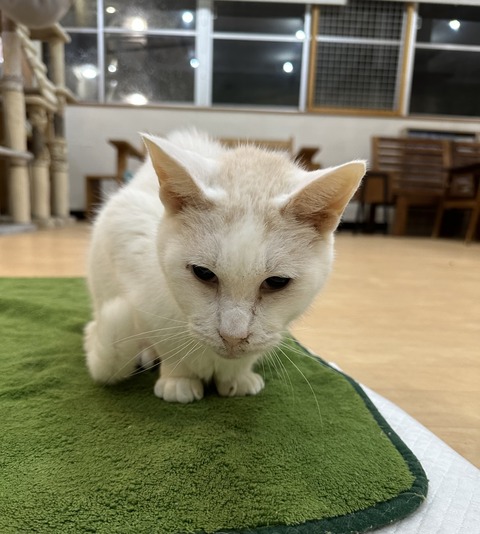 97C99E42-C634-454F-B08D-CC425C1521A9