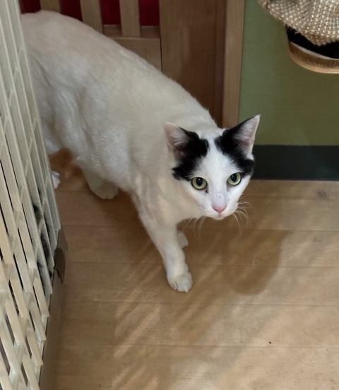 9E0ED7A1-0BC9-4C19-9A59-1CB742B5AD2D