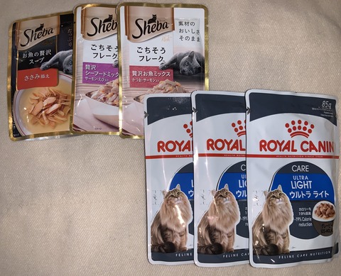 43C2FAFA-8D01-44CA-B7EE-E69AE10BF038