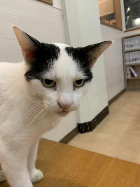 4C4500DA-EE45-4C5A-BD2F-7C74559460F6