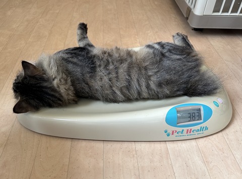 4FA25DA0-3C1D-42EA-BDCA-A743D61FC54E