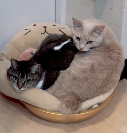 19D44B34-D607-4AF3-A253-EC36F8AFC482