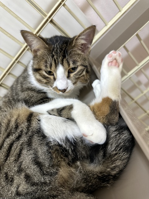 62D1CBBC-77DF-4310-9BB5-B83481C16CD8