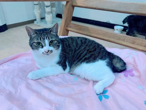 75B4E75A-AEE9-4F8A-AF7D-1421F336B13E