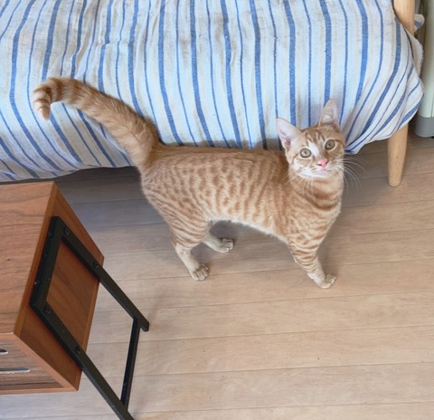 07DD83AA-8E4D-4E42-BB8E-BA7F70AC4D0C