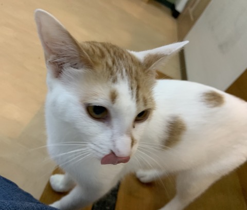 BDFF0F6A-C355-4CE9-BE79-D7537F6986CB